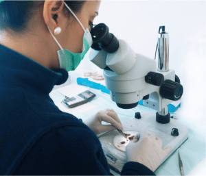 análise microscópica dos folículos